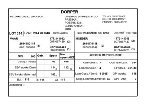 1 X DORPER RAM D.G.D JACKSON