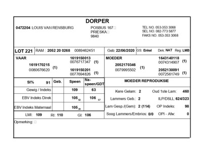 1 X DORPER RAM LOUIS VAN RENSBURG