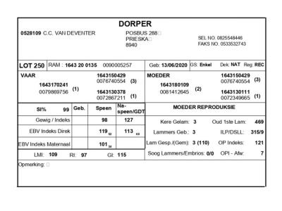 1 X DORPER RAM C.C. VAN DEVENTER