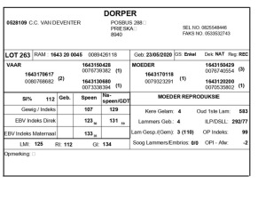 1 X DORPER RAM C.C. VAN DEVENTER