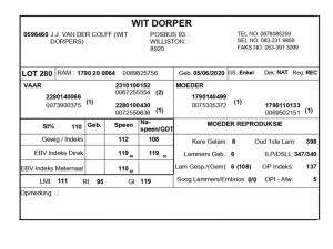 1 X WIT DORPER RAM J.J. VAN DER COLFF