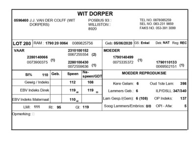 1 X WIT DORPER RAM J.J. VAN DER COLFF