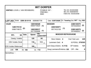 1 X WIT DORPER RAM LOUIS J. VAN RENSBURG