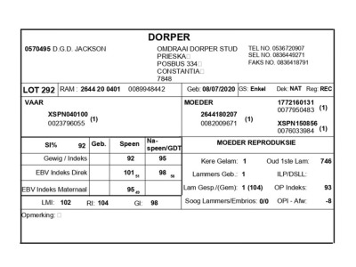 1 X DORPER RAM D.G.D. JACKSON