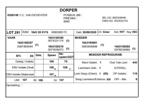 1 X DORPER RAM C.C. VAN DEVENTER