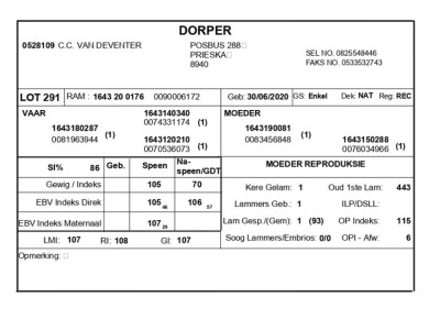 1 X DORPER RAM C.C. VAN DEVENTER