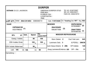 1 X DORPER RAM D.G.D. JACKSON