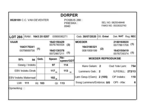 1 X DORPER RAM C.C. VAN DEVENTER