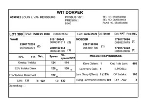 1 X WIT DORPER RAM LOUIS J. VAN RENSBURG