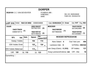 1 X DORPER RAM C.C. VAN DEVENTER