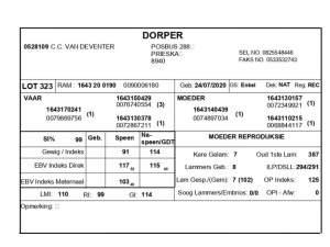 1 X DORPER RAM C.C. VAN DEVENTER