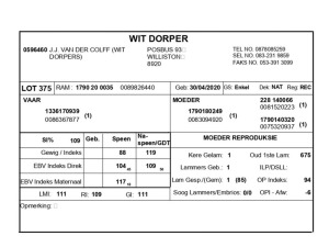 1 X WIT DORPER RAM J.J. VAN DER COLFF