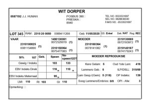 1 X WIT DORPER RAM J.J. HUMAN