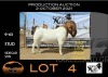 1x RAM - STUD SAKKIE & NICKY NELL BOERBOKKE