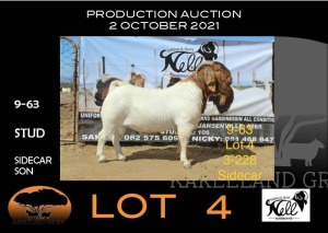 1x RAM - STUD SAKKIE & NICKY NELL BOERBOKKE