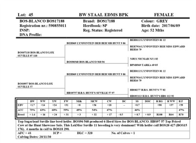 1X FEMALE BOS-BLANCO BOS17188 BW STAAL EDMS BPK