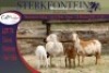 2+2x MEATMASTER OOI/EWE WITH LAMB STERKFONTEIN MEATMASTERS (PER PIECE TO TAKE THE LOT) - 4