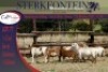 4+4x MEATMASTER OOI/EWE WITH LAMB STERKFONTEIN MEATMASTERS (PER PIECE TO TAKE THE LOT) - 2