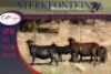 2+2x MEATMASTER OOI/EWE WITH LAMB STERKFONTEIN MEATMASTERS (PER PIECE TO TAKE THE LOT) - 4
