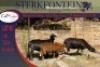 2+2x MEATMASTER OOI/EWE WITH LAMB STERKFONTEIN MEATMASTERS (PER PIECE TO TAKE THE LOT) - 4