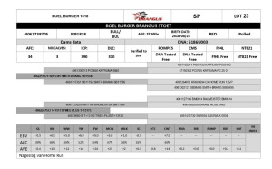 1x BUL/BULL - JRB1818 - BOEL BURGER BRANGUS STOET