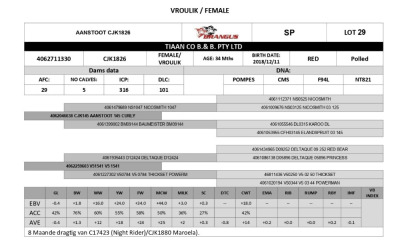 1x VROULIK/FEMALE - CJK1826 - TIAAN CO B.& B. PTY LTD