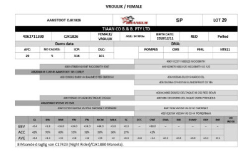 1x VROULIK/FEMALE - CJK1826 - TIAAN CO B.& B. PTY LTD
