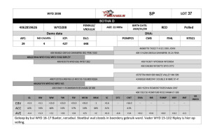 1x VROULIK/FEMALE - WYD208 - BOTHA D