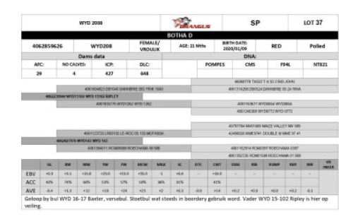 1x VROULIK/FEMALE - WYD208 - BOTHA D