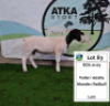 LOT 89 1+1X DORPER OOI/EWE ATKA DORPERS STOET