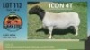 LOT 112 1X DORPER RAM ALBIAN DORPERSTOET - T5
