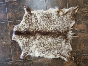 LOT 0 C- CAPE SKILDER GOAT HIDES