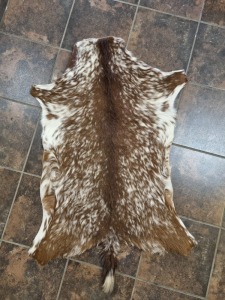 LOT 0 D CAPE SKILDER GOAT HIDES