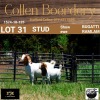 LOT 31 1+1X BOER GOAT DOE WITH LAMB - STUD - COLLEN BOERDERY - 5