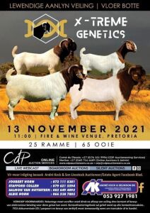 X- TREME GENETICS - BOER GOATS LOT 1-93