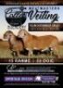 COLLEN BOERDERY MEATMASTER AUCTION LOT 101-157