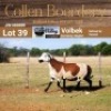 LOT 39 1X MEATMASTER STUD EWE - AANGETEKEN - COLLEN BOERDERY - 2