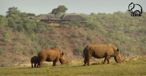 LOT 27 Nkwazi Lake Lodge Package.