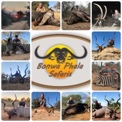 LOT 30 Accommodation Full Board only for Buffalo & Plainsgame Hunt in Bela Bela