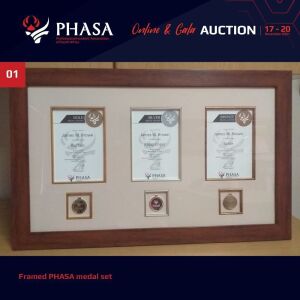 LOT 1 Framed PHASA medal set