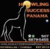 LOT 42 - Panama rare game viewing opportunity. 2 Night full room & board for 2 people in Chiriqui Province, - 3