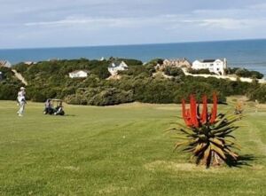  PORT ALFRED FISHING AND GOLFING EXPIERIENCE