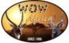 &nbsp; &nbsp;5 - DAY HUNT IN ZULULAND - 3