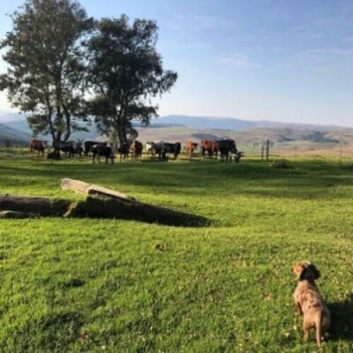  &nbsp;3 - NIGHT STAY AT BEVERLEY COTTAGES