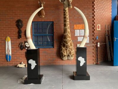 LOT 31 One set of Artificial Elephant Tusks on Pillars.