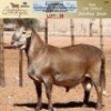 LOT 18 1X MEATMASTER RAM OMEGA MEATMASTERS - 2