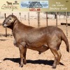 LOT 68 1X MEATMASTER RAM OMEGA MEATMASTERS - 2