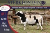 LOT 7 1X MEATMASTER RAM STERKFONTEIN MEATMASTER - 4