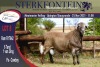 LOT 8 1X MEATMASTER RAM STERKFONTEIN MEATMASTER - 3