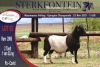 LOT 62 1X MEATMASTER RAM STERKFONTEIN MEATMASTER - 2